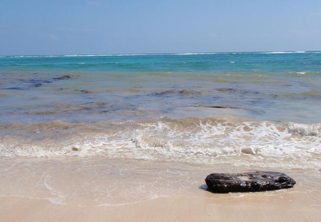 beach